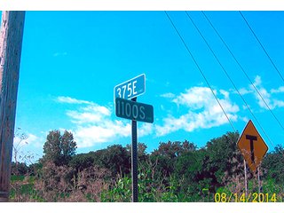 Property photo 7 - LAND AUCTION, 223+/- Acres offered in 3 Tracts